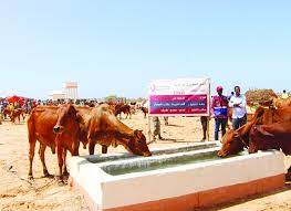 Qatar Charity builds artesian well for Somalian IDP's